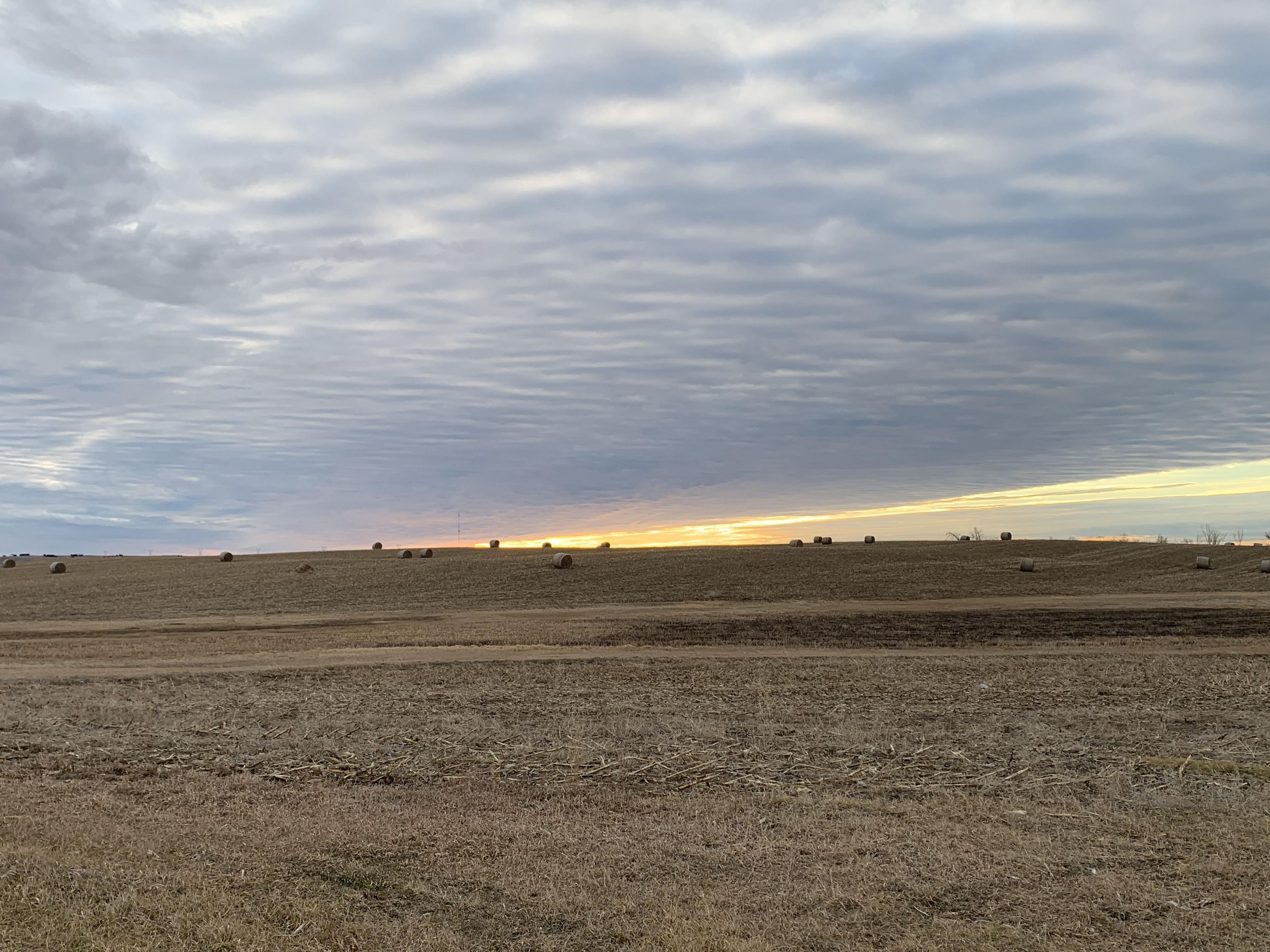 Morning Ag News, December 3, 2021: Expert describes what infrastructure investment means for rural America