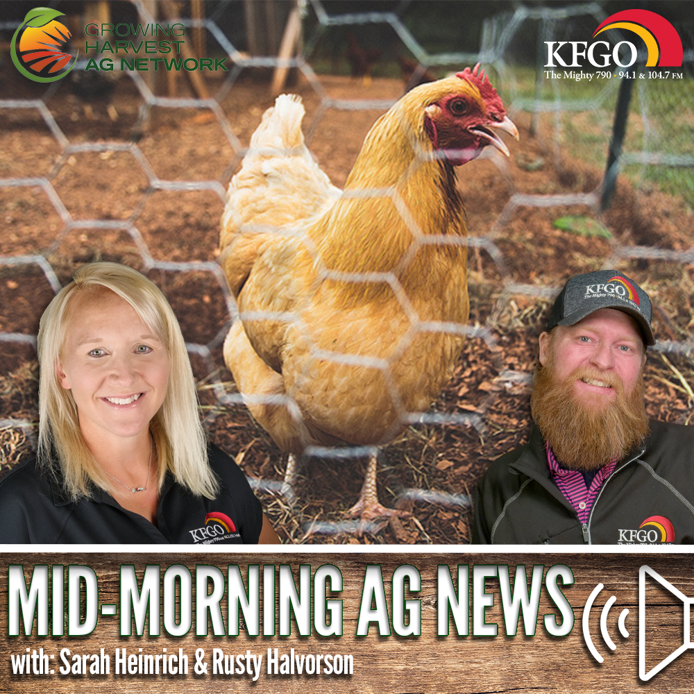 Mid-morning Ag News, October 30, 2023: HPAI continues to impact flocks