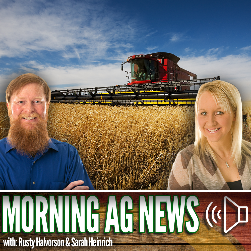 Morning Ag News, June 19, 2024: A look at the U.S. spring wheat crop