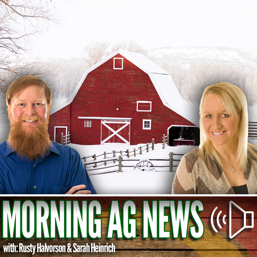 Morning Ag News, November 21, 2023: Turkey industry less dependent on holiday sales