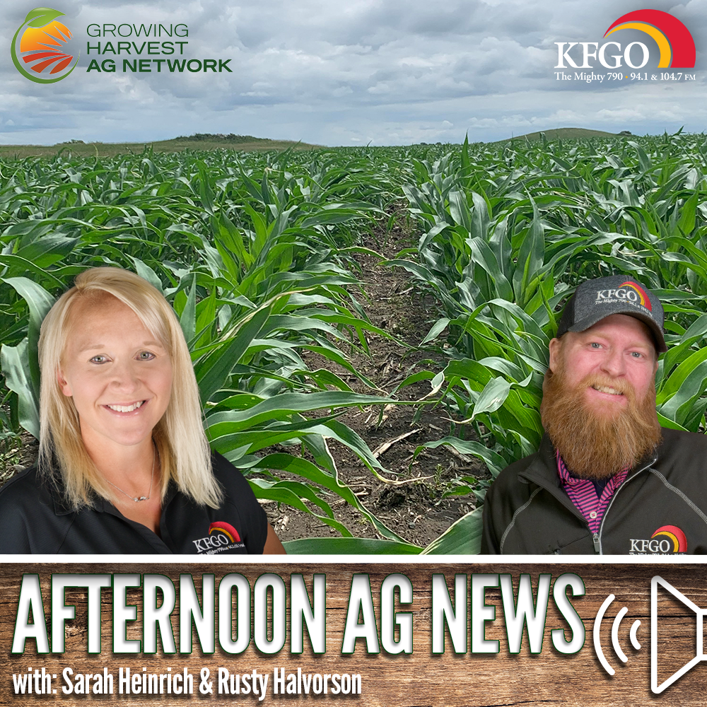 Afternoon Ag News, August 13, 2024: Corn sales for export rise