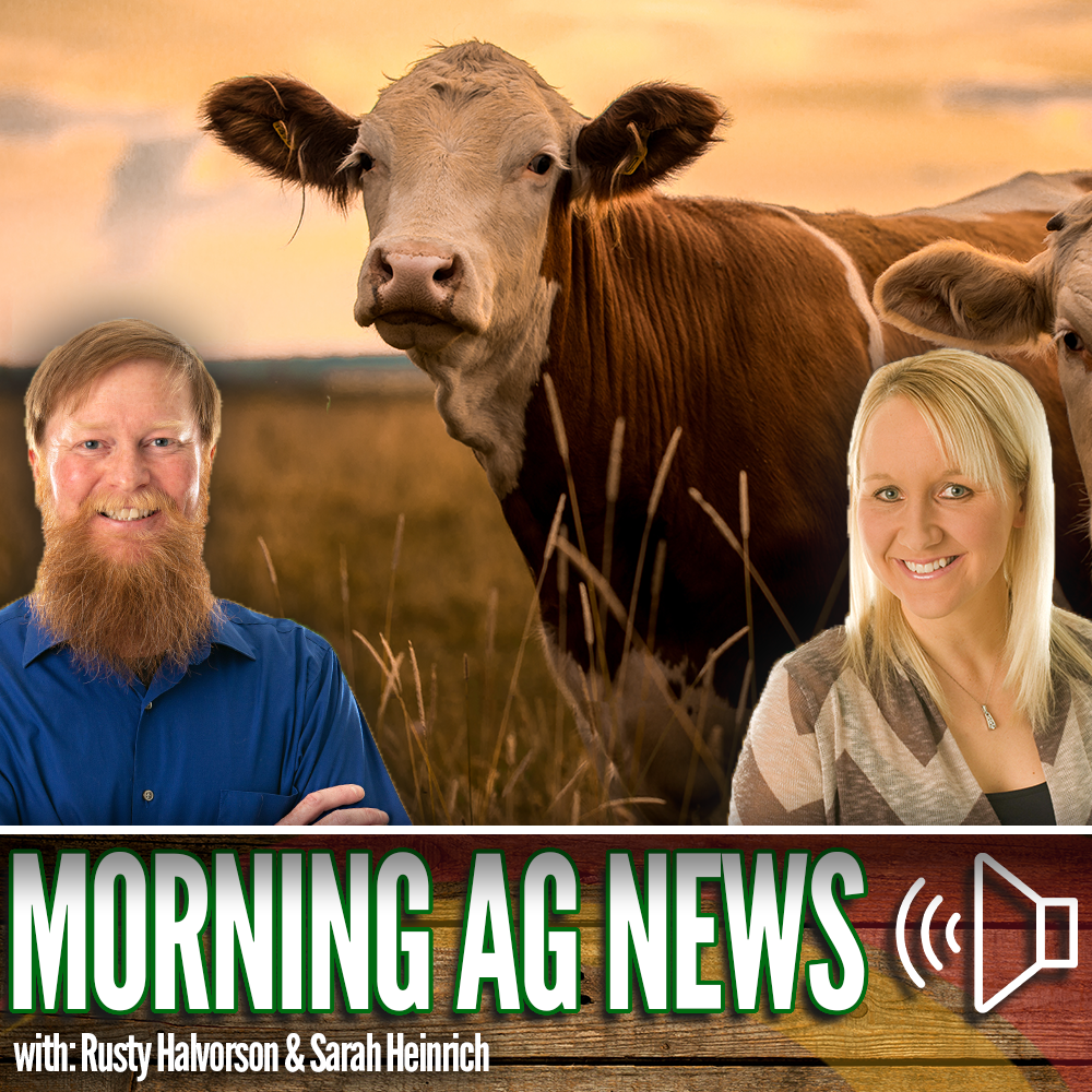 Morning Ag News, July 9, 2024:  May beef export value highest in 11 months