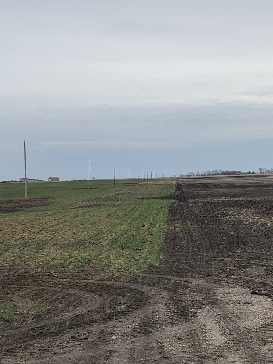 Afternoon Ag News, May 5, 2021: Areas of central North Dakota are in need of rain