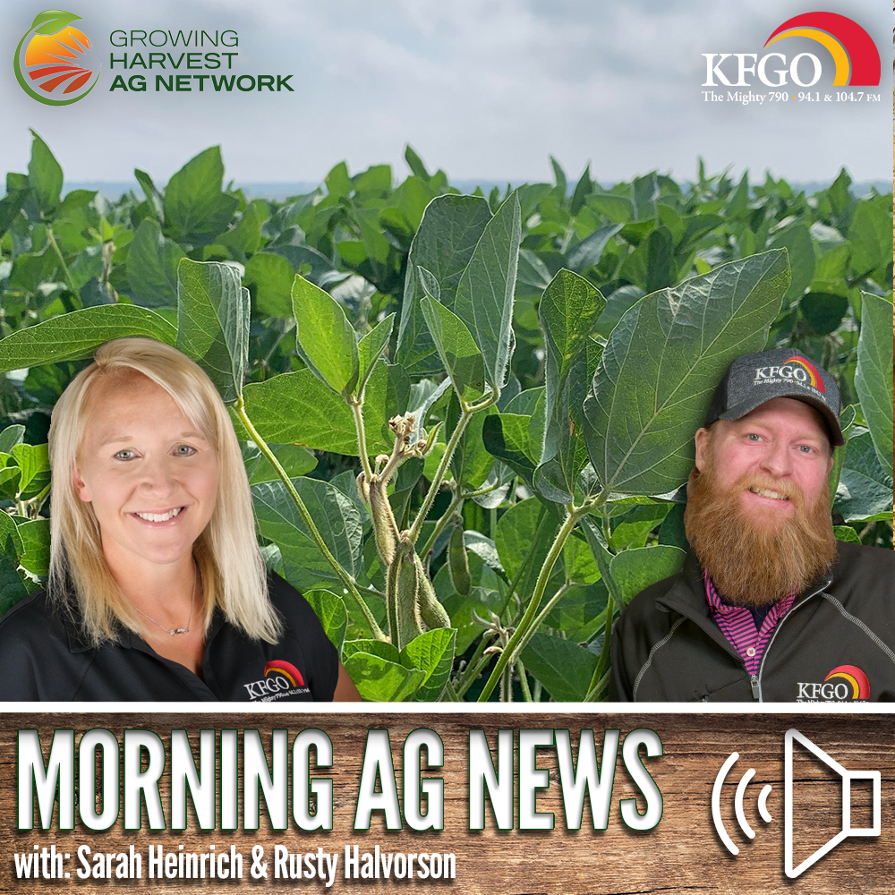 Morning Ag News, September 18, 2024: Margins are tight for farmers