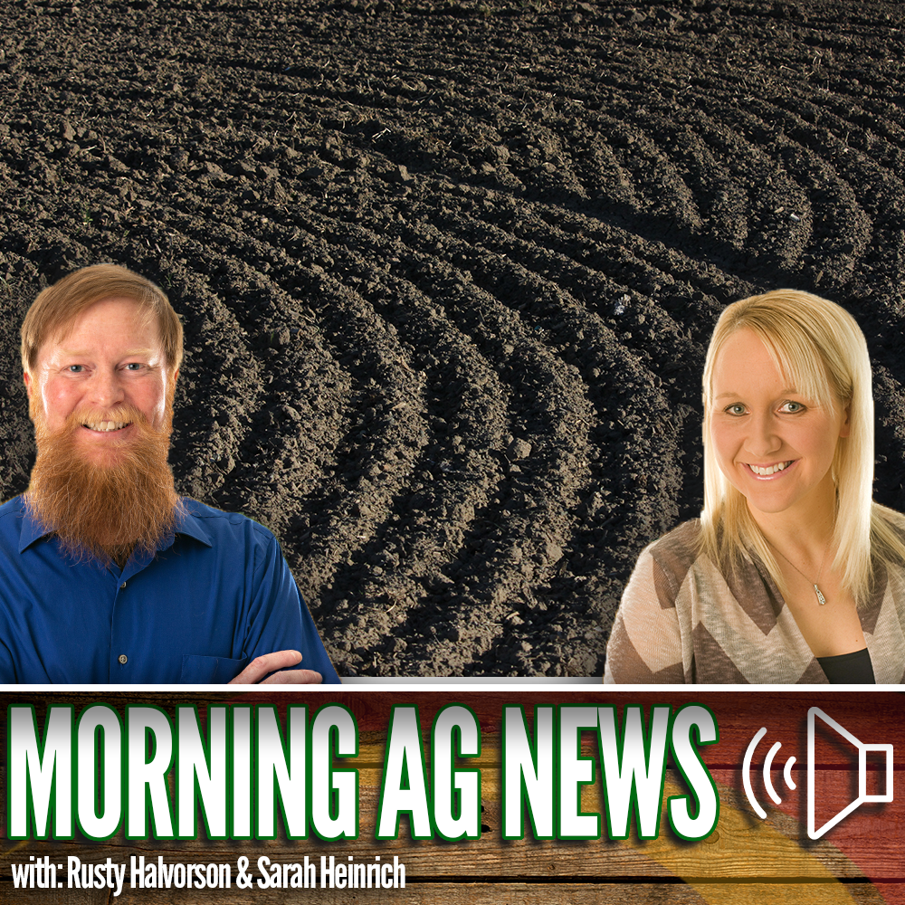 Morning Ag News, May 17, 2024: A look at the forecast