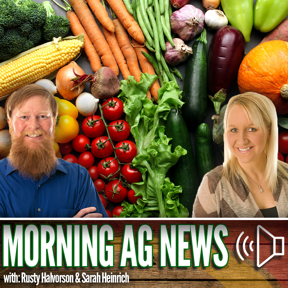 Morning Ag News, December 12, 2023: Consumers eating more on the go