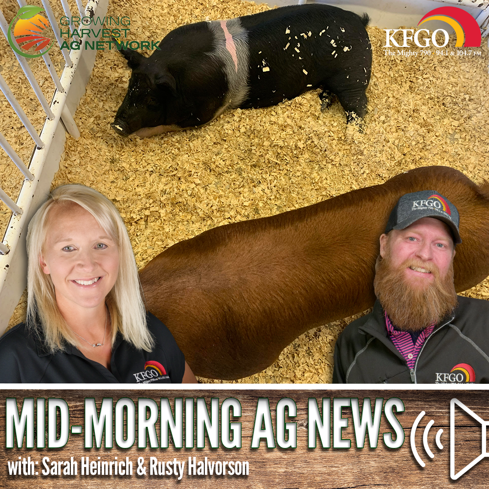 Mid-morning Ag News, November 3, 2023: Pork options for the holiday season