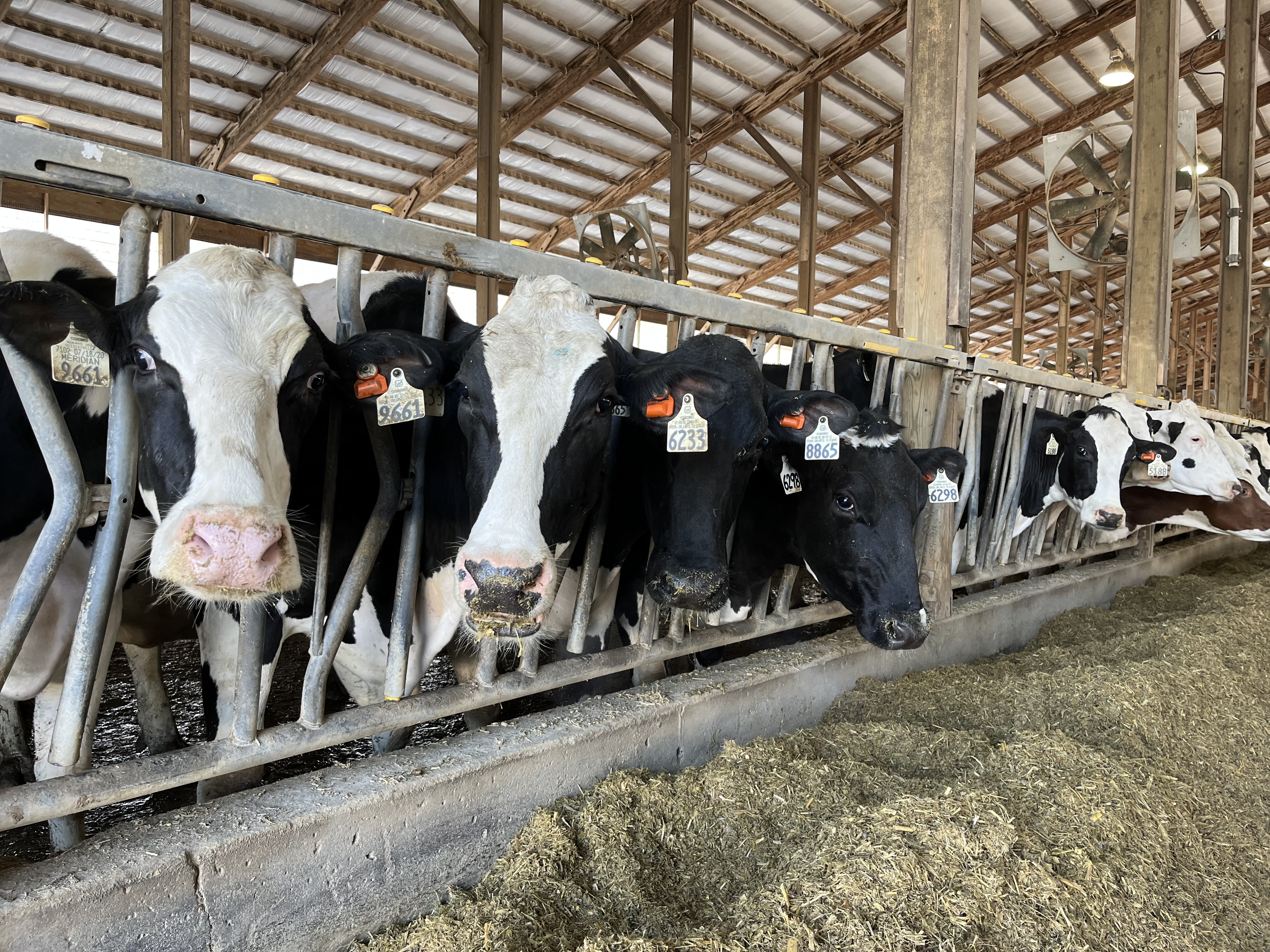 Farm Talk: North Dakota Livestock Alliance working to enhance the state's livestock industry