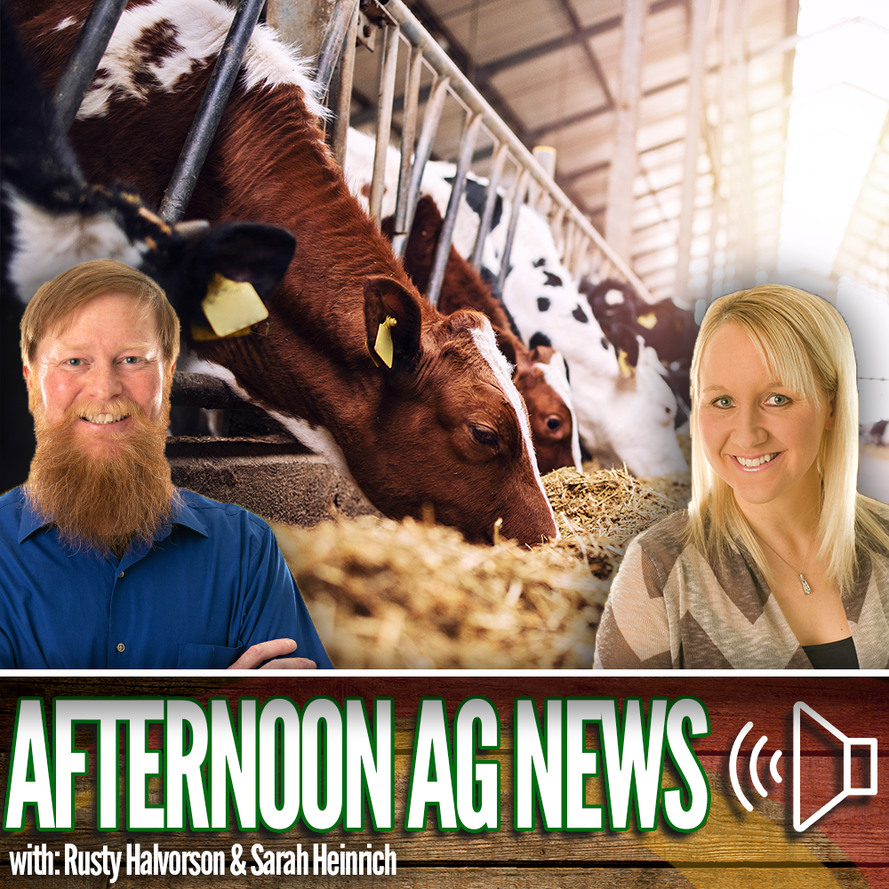 Afternoon Ag News, October 20, 2023: Shifts in the dairy market