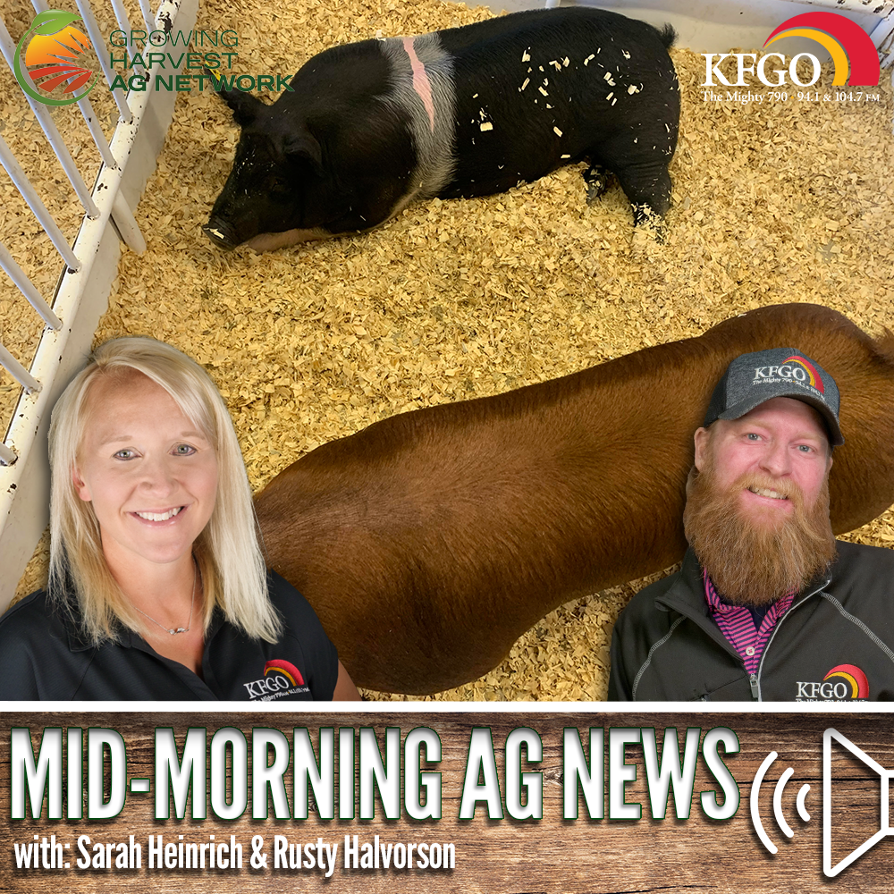 Mid-morning Ag News, October 23, 2024: Expected pork production in 2024 and 2025