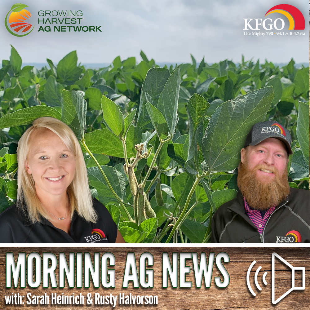 Morning Ag News, May 24, 2024: What does the May WASDE report mean for the soy market?