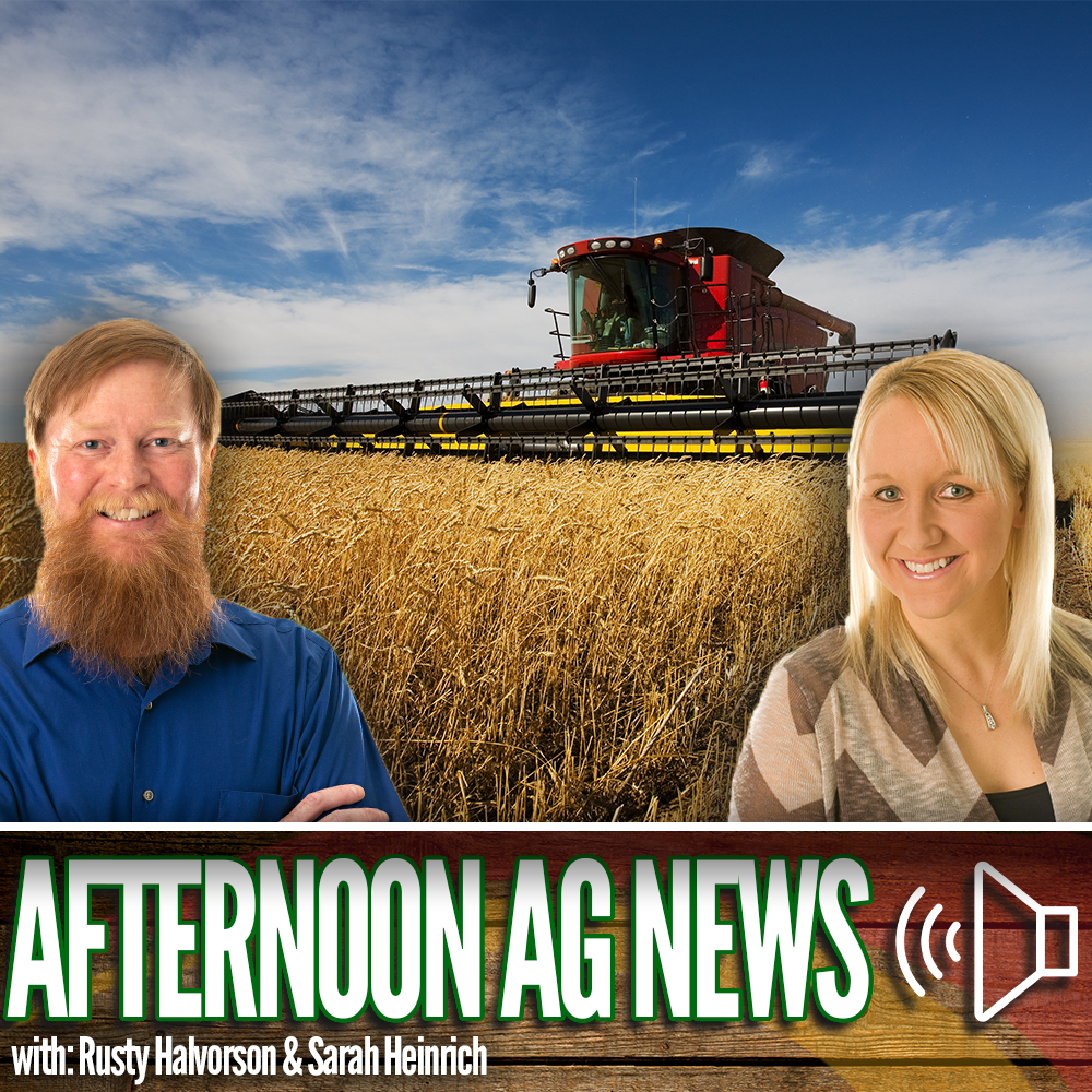 Afternoon Ag News, December 5, 2023: New campaign promotes health benefits of wheat