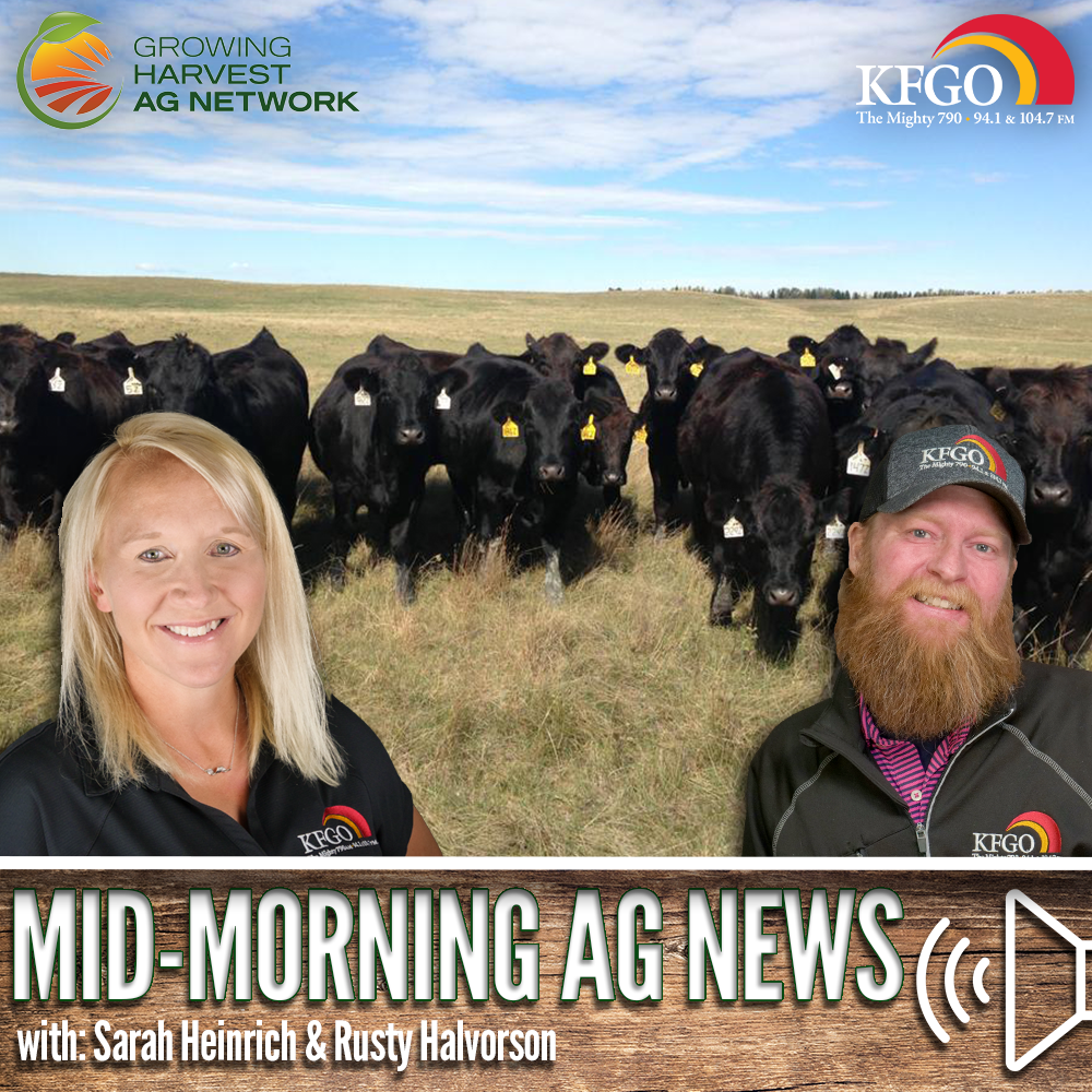 Mid-morning Ag News, November 21, 2023: Ag credit conditions soften in third quarter