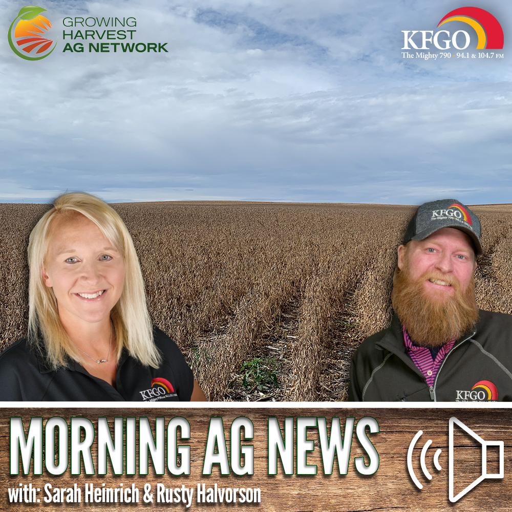 Morning Ag News, October 23, 2024: Grain markets have been struggling