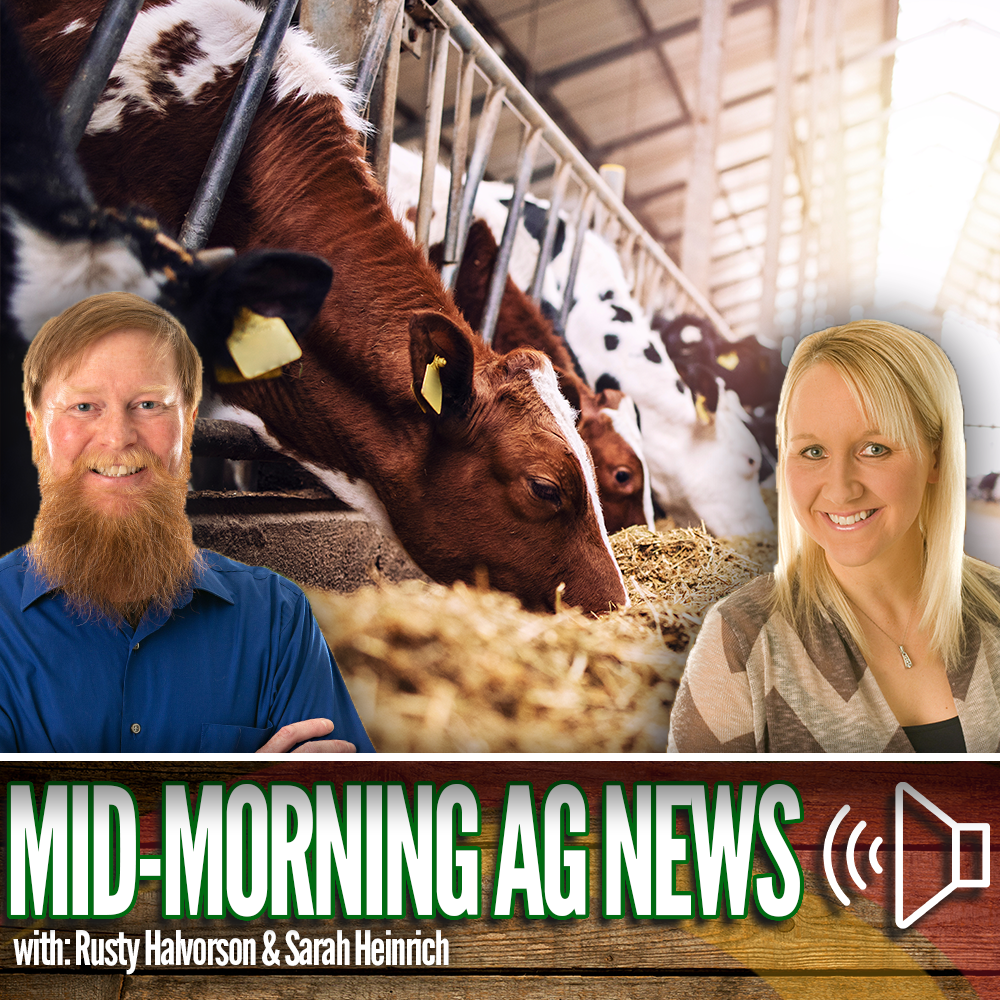 Mid-morning Ag News, July 9, 2024: Moderna receives grant to develop human H5N1 vaccine