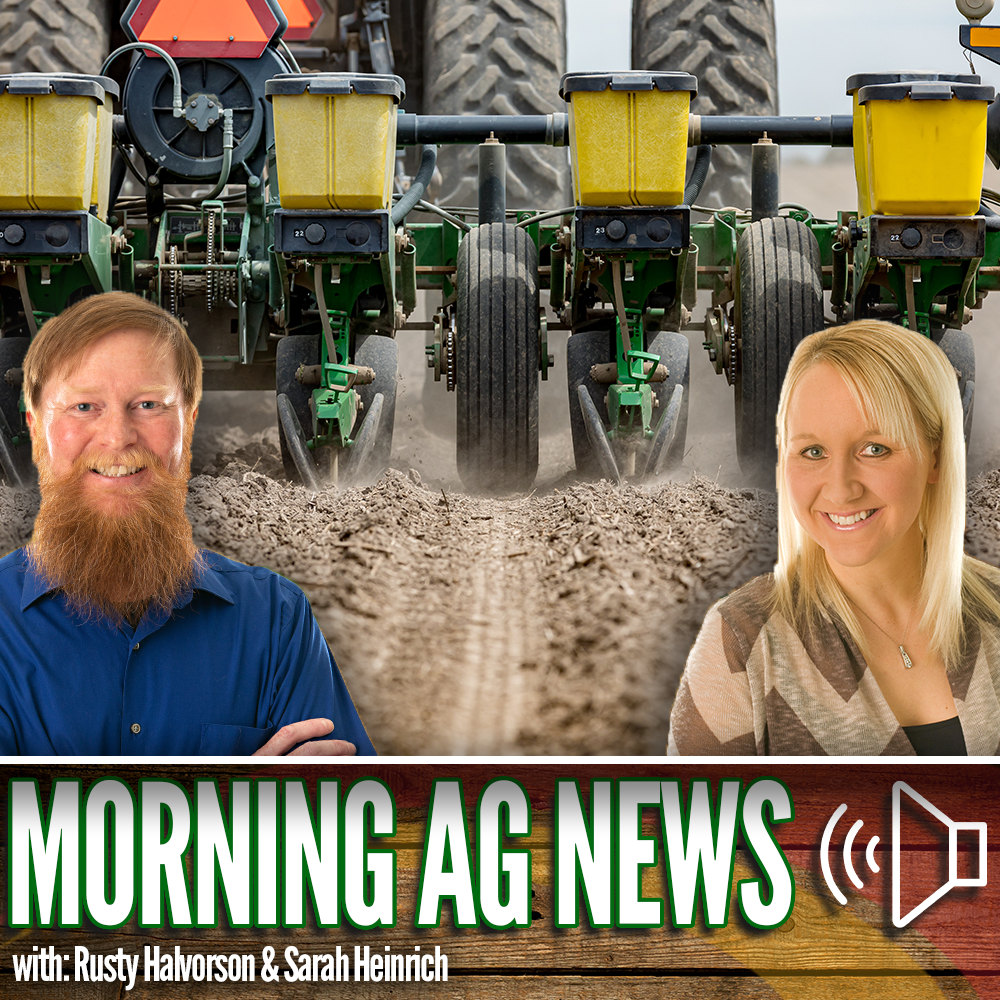 Morning Ag News, November 23, 2023: Southern Minnesota corn harvest update