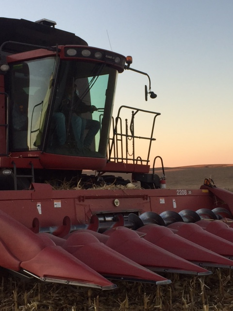 Afternoon Ag News, August 30, 2021: Tractor and combine sales on the rise