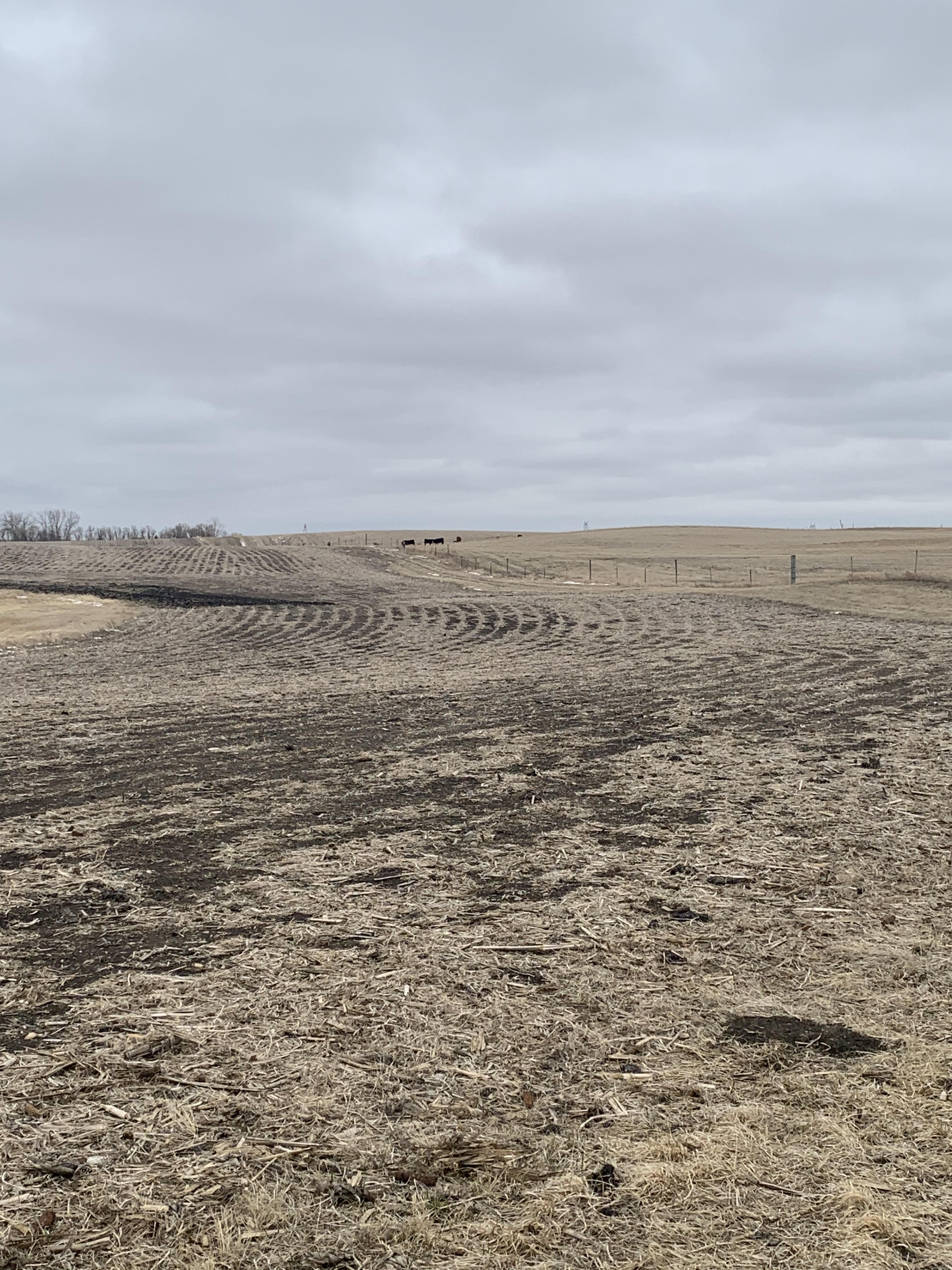 Morning Ag News, April 16, 2021: Not much rain expected in the near future
