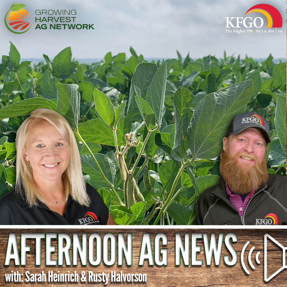 Afternoon Ag News, August 2, 2024: Enhancing soybean yields