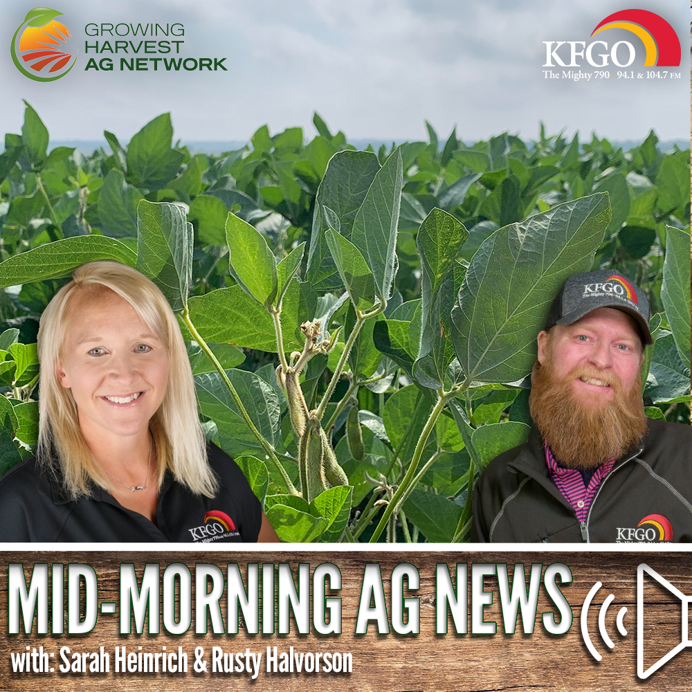 Mid-morning Ag News, June 13, 2024: A tax change in Brazil could be good news for U.S. soybean farmers