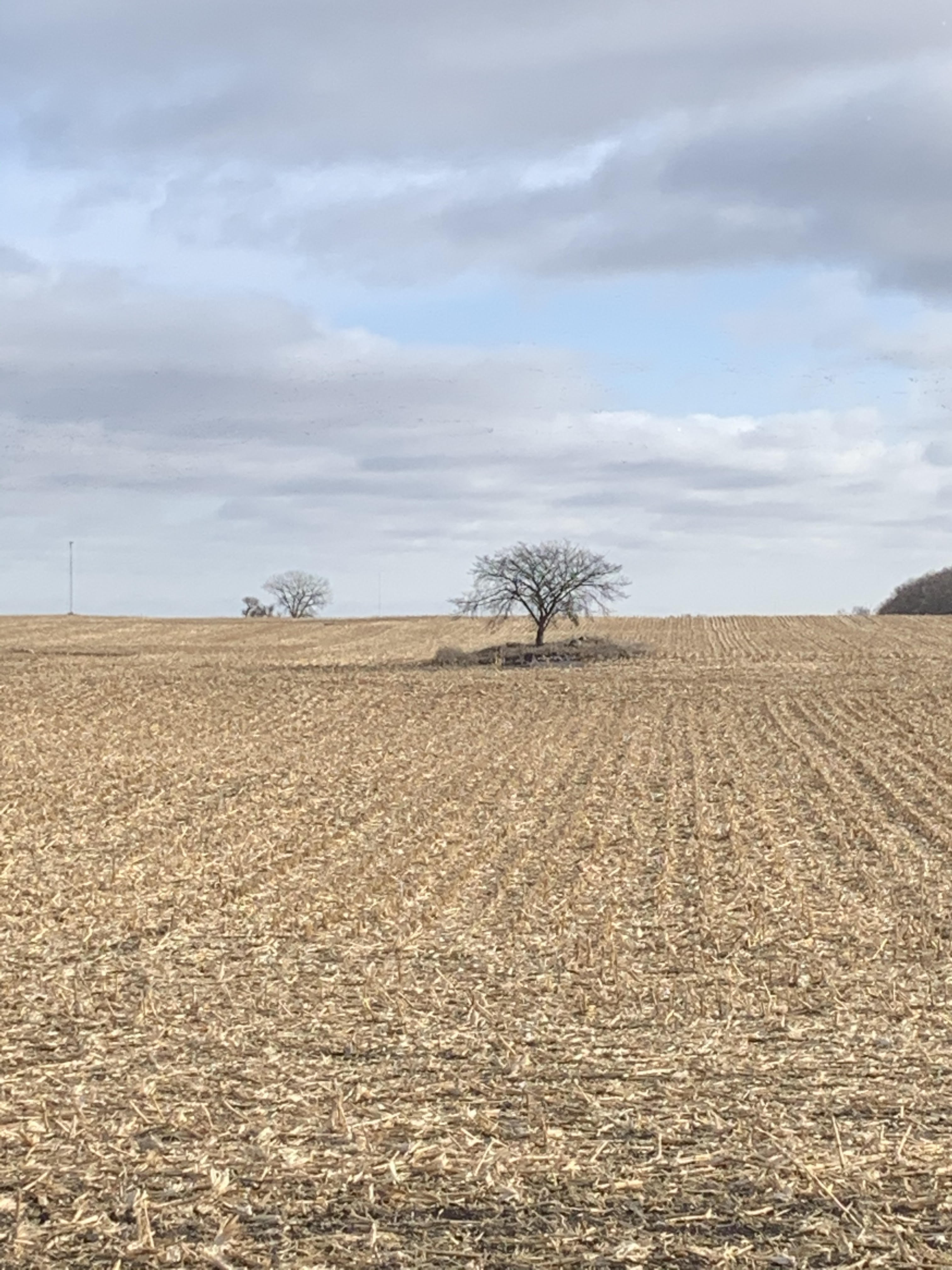 Farm Talk: North Dakota Corn Utilization Council mails annual report to growers