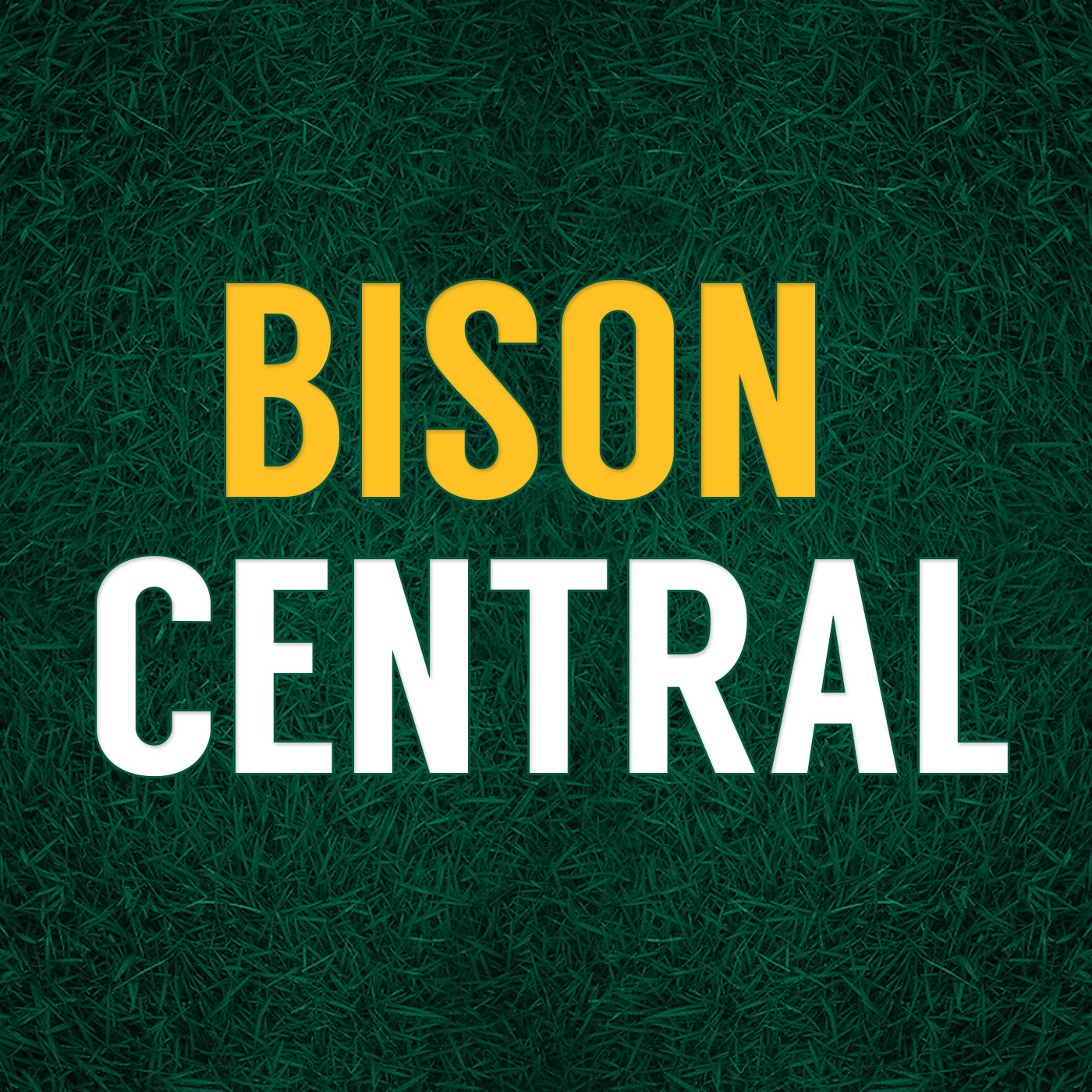 Tyler Roehl-NDSU offensive coordinator