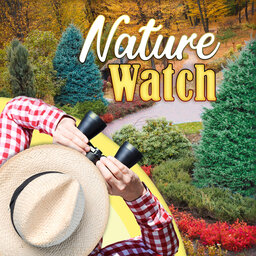 "Nature Watch"-Saturday, 3/2