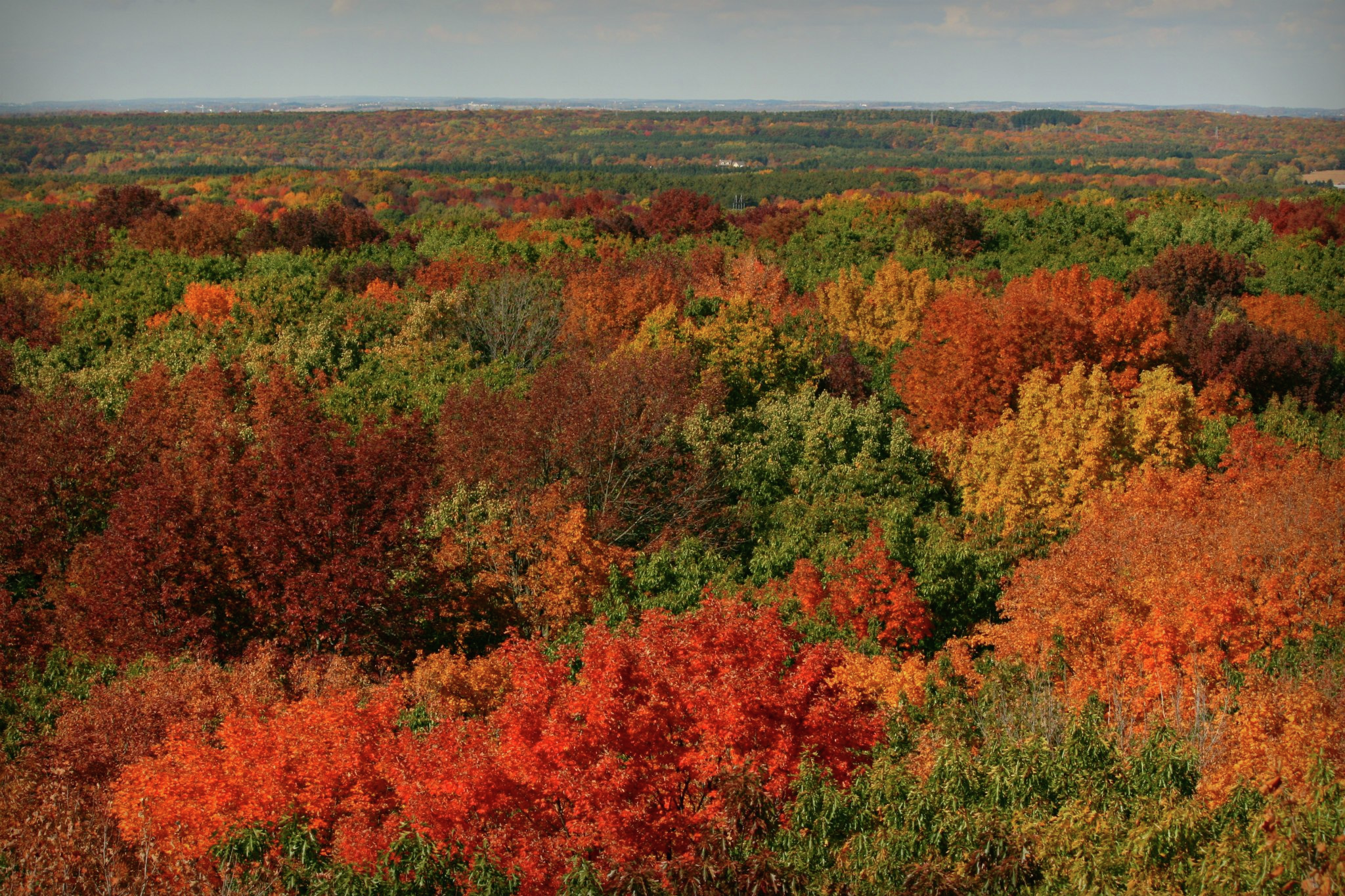 Sheboygan Area Weekend Whassup - 11-1-2024