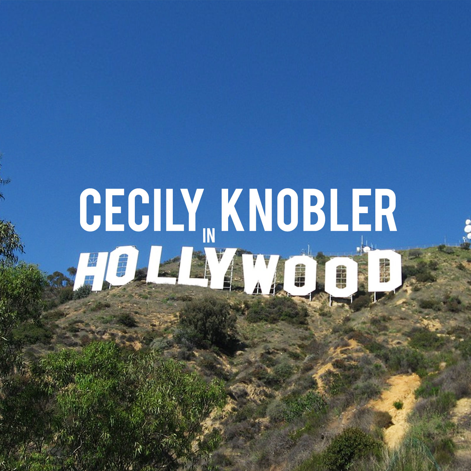 "A fun look at Nice and Mean Celebs from Cecily Knobler and More!!"