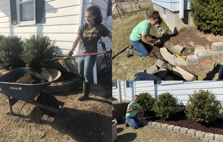 Denmark FFA student shares landscape advice and future plans