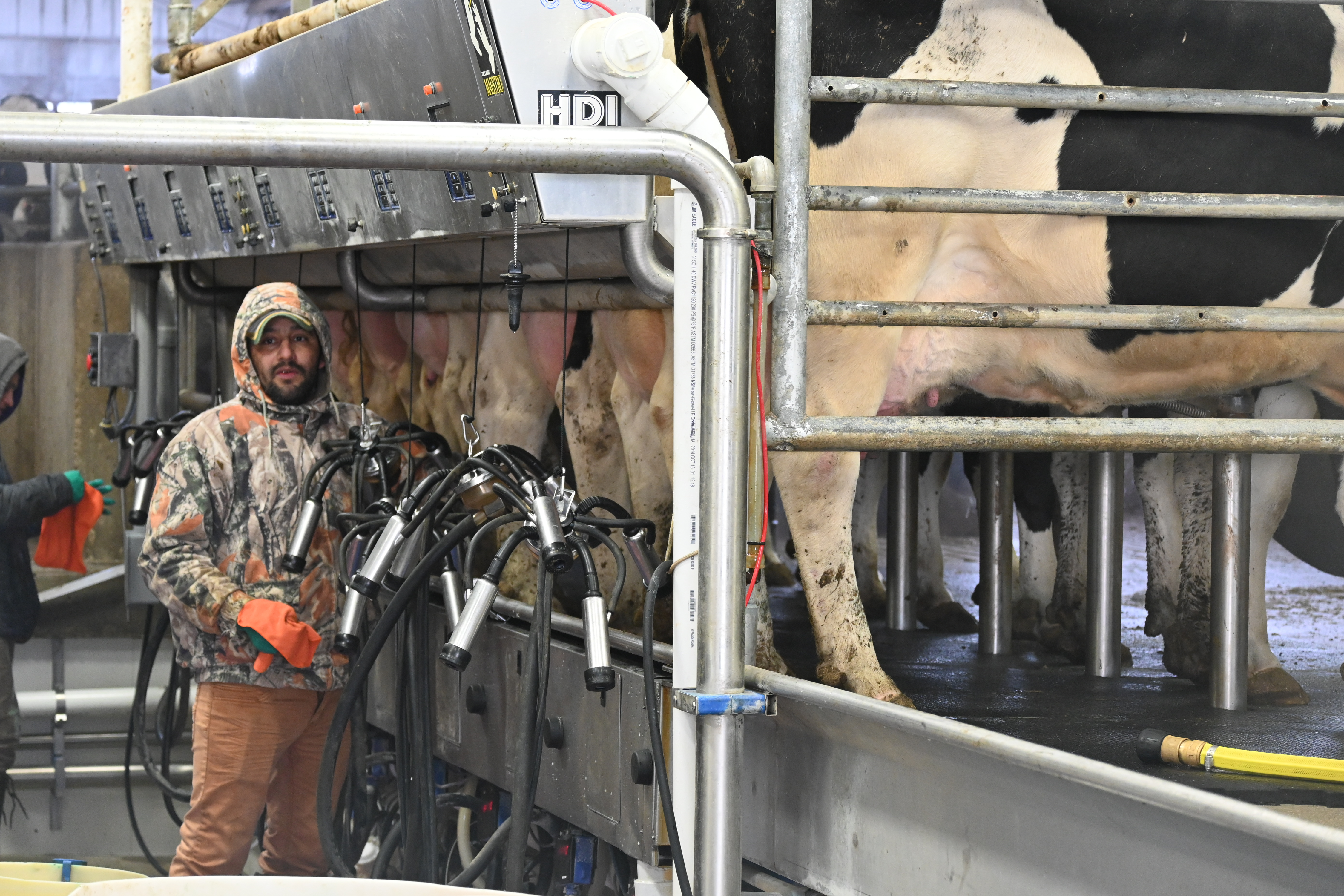 Looking Ahead For The Dairy Market