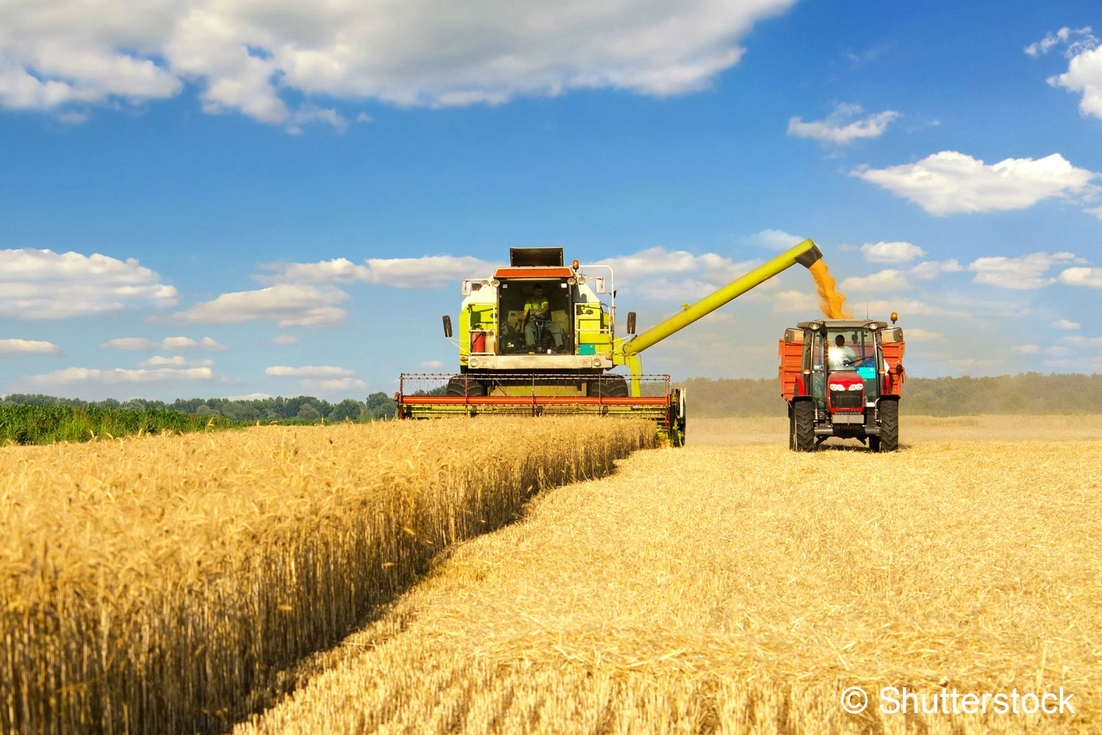 The Largest Organic Grain Fraud Scheme in U.S. History