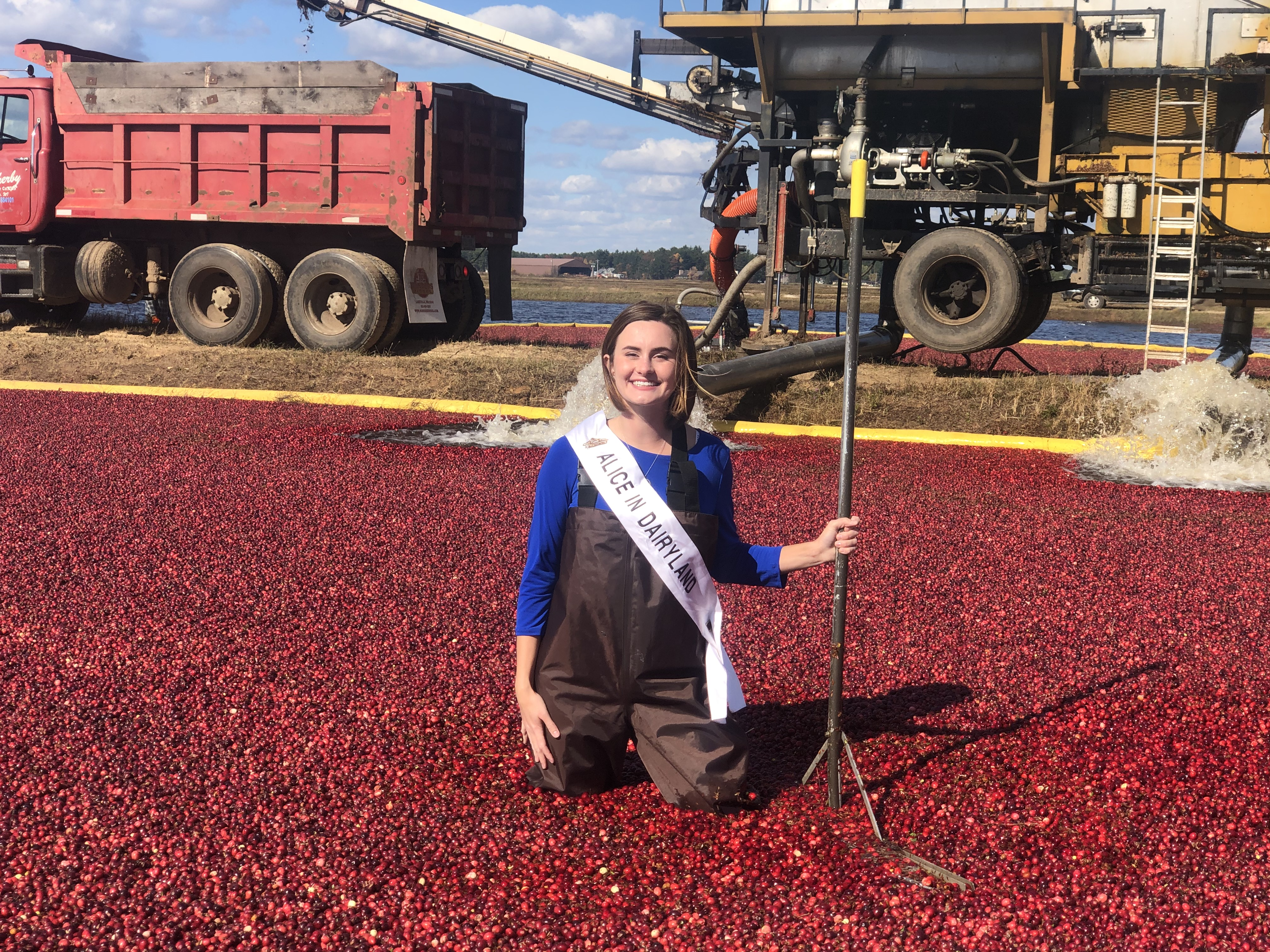 Alice In Dairyland Talks Cranberry Harvest
