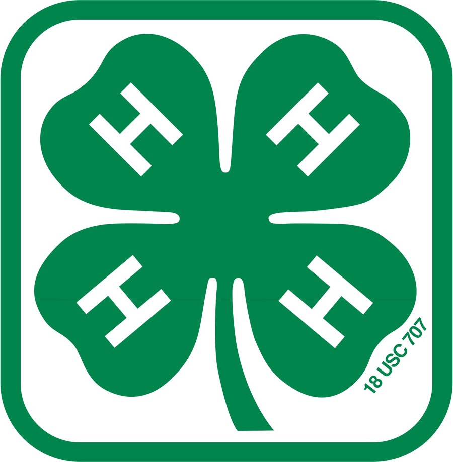The Benefits Of 4-H