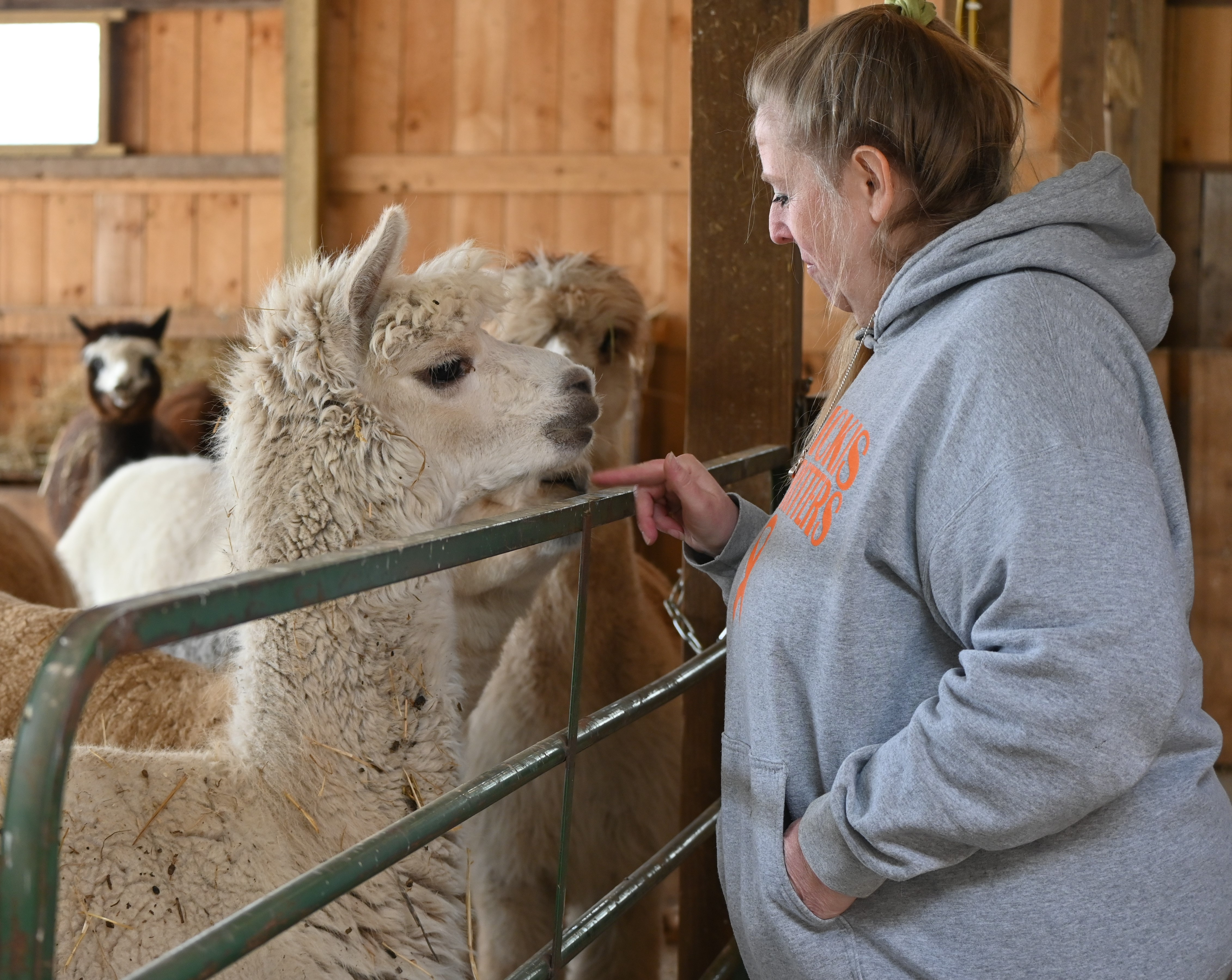 Farmer Of The Month Uses Alpacas As A Therapy Tool