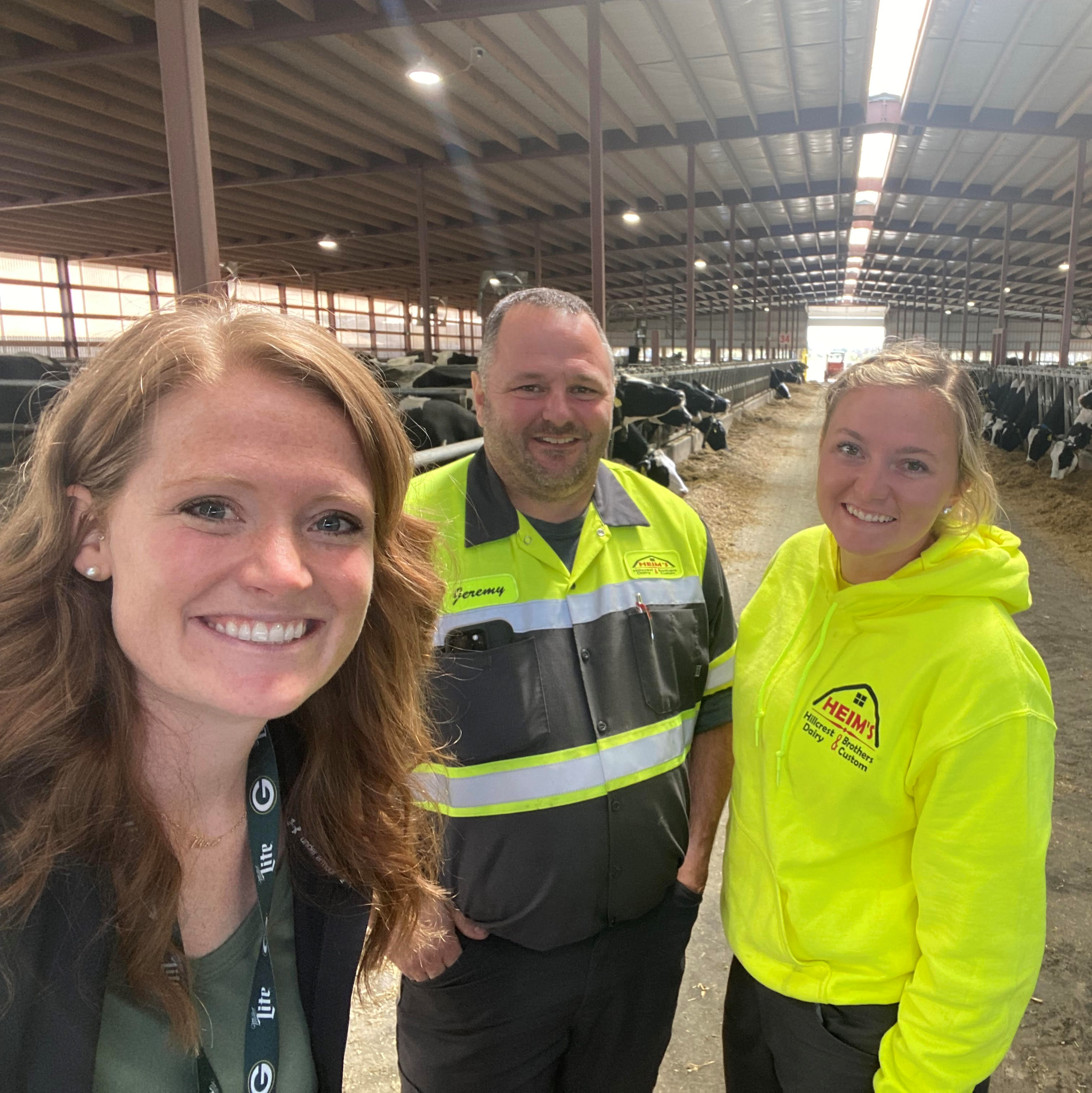 Corn silage harvest update with Heim's Hillcrest Dairy in Algoma