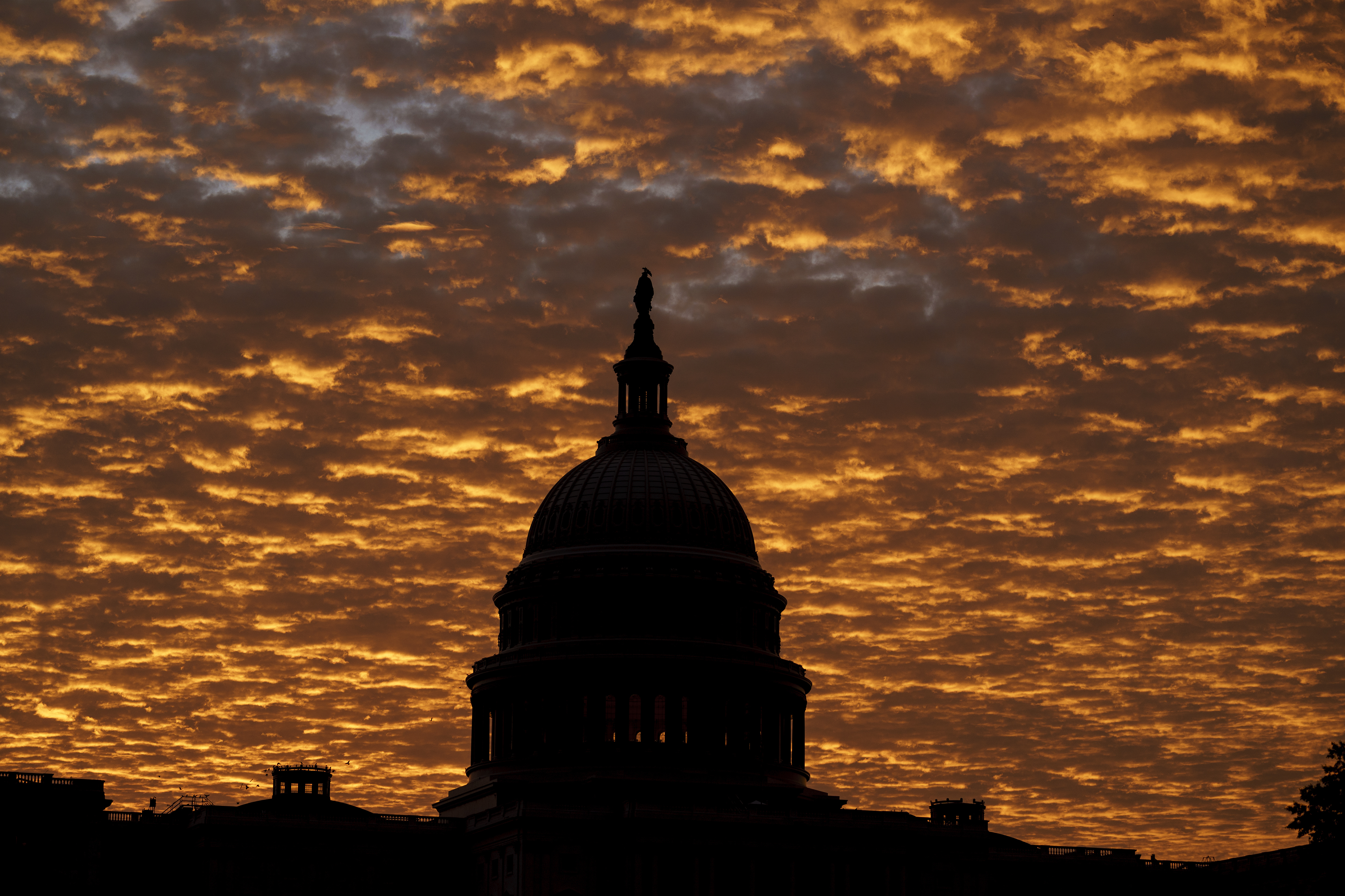 'Glass all the way full': Young conservatives embrace GOP-led climate goals