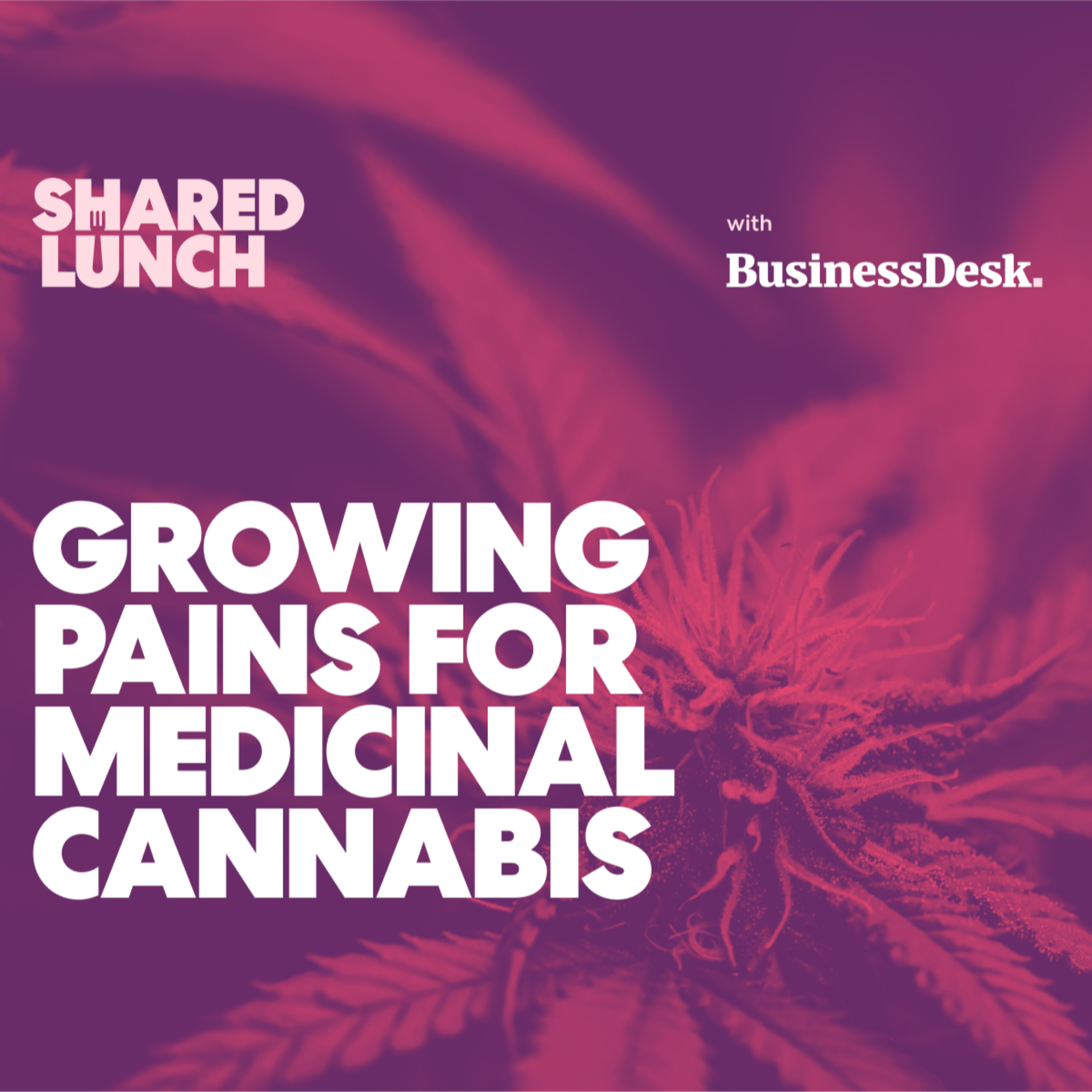 Growing Pains for Medicinal Cannabis? With Cannasouth