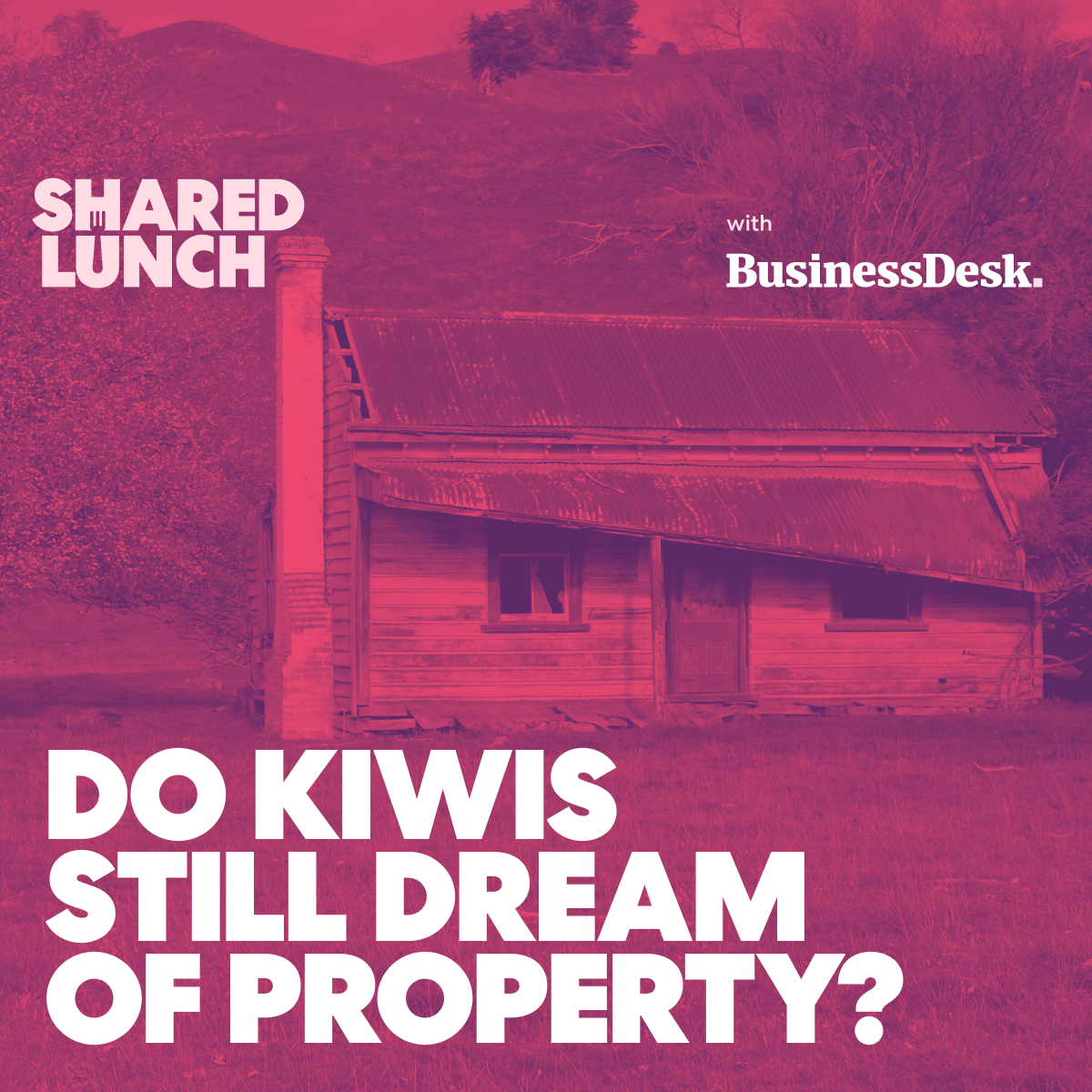 Do kiwis still dream of property? With Tony Alexander