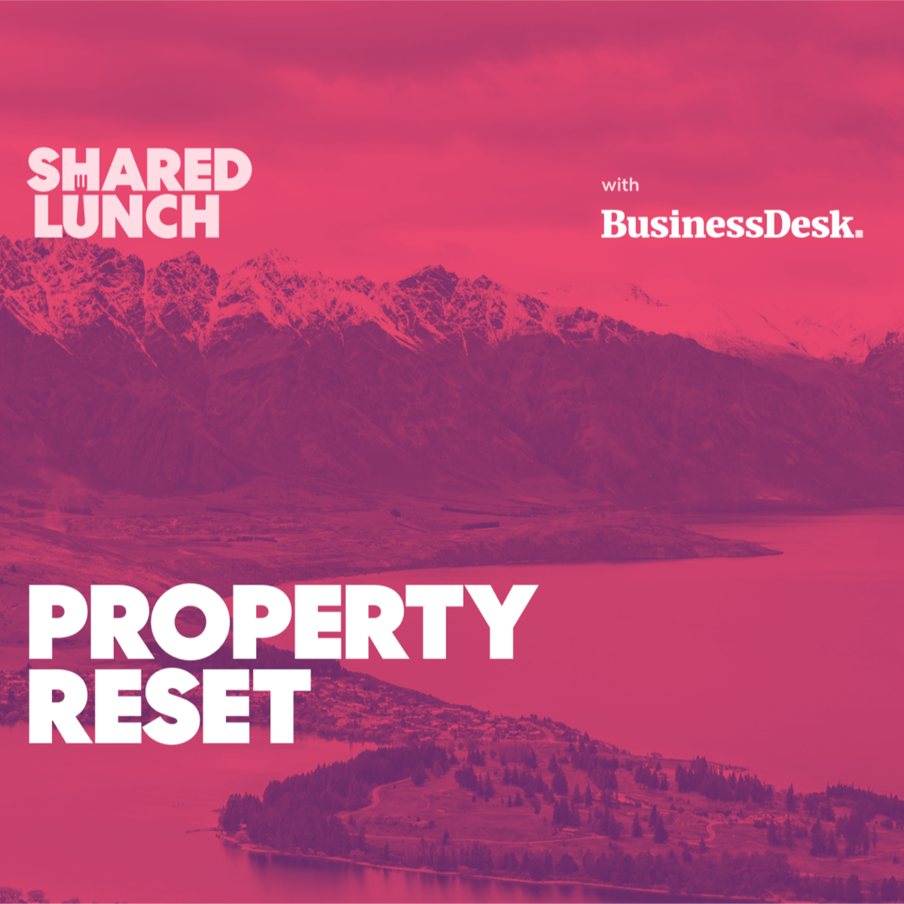 Property Reset with Tony Alexander