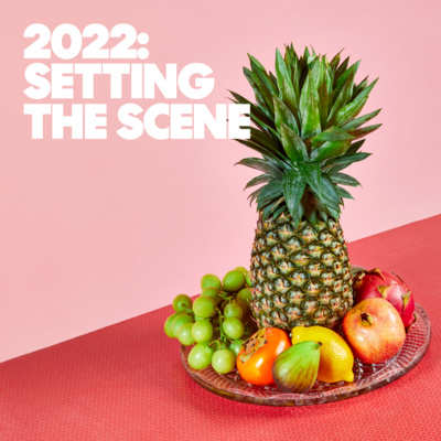 Bonus Episode - 2022: Setting the Scene