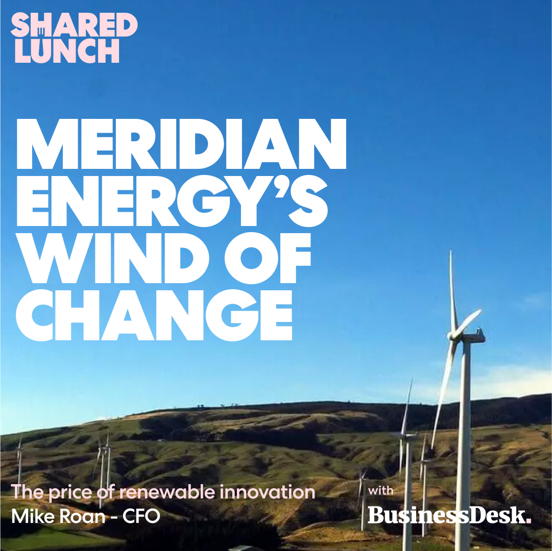 Meridian Energy–winds of change