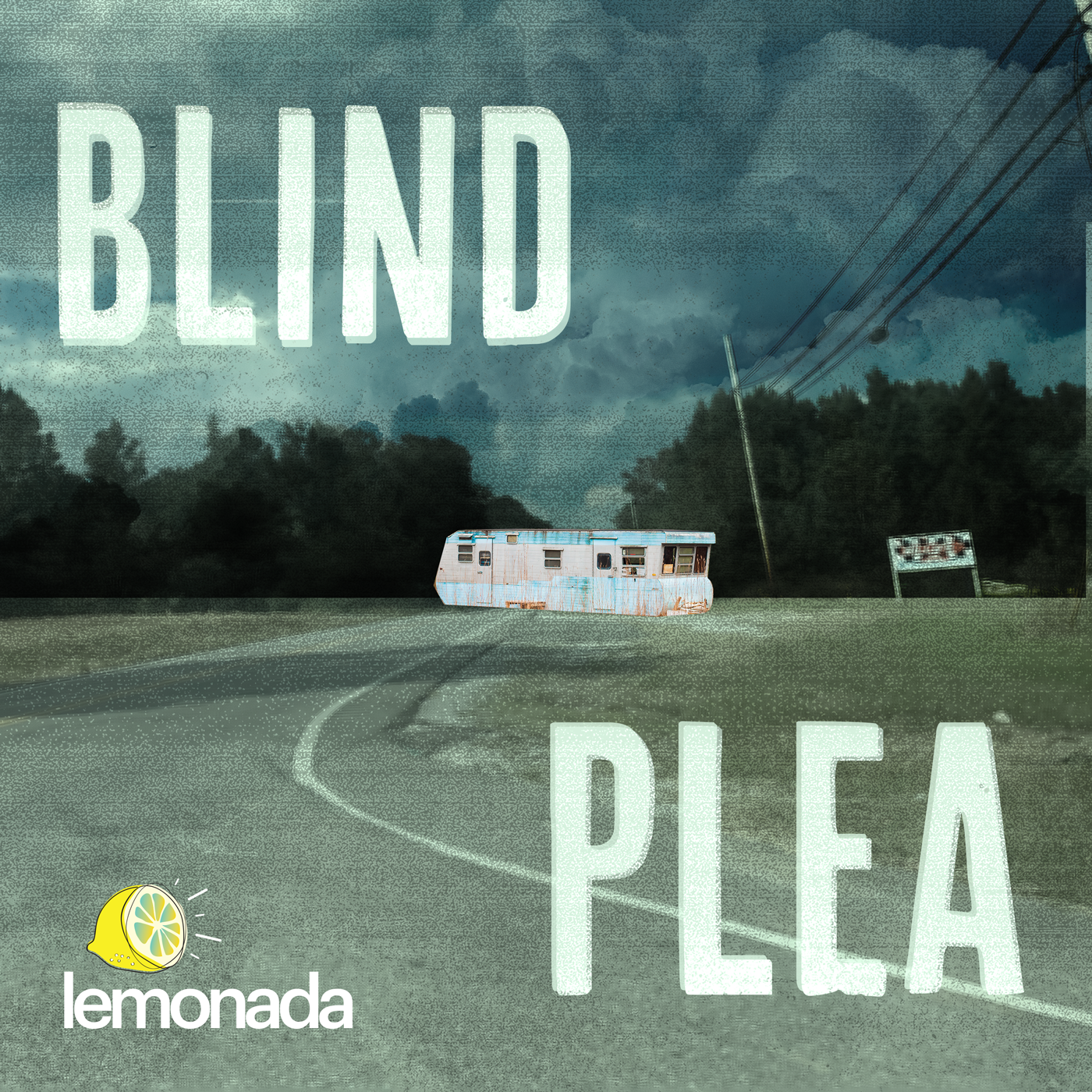 The Blind Plea