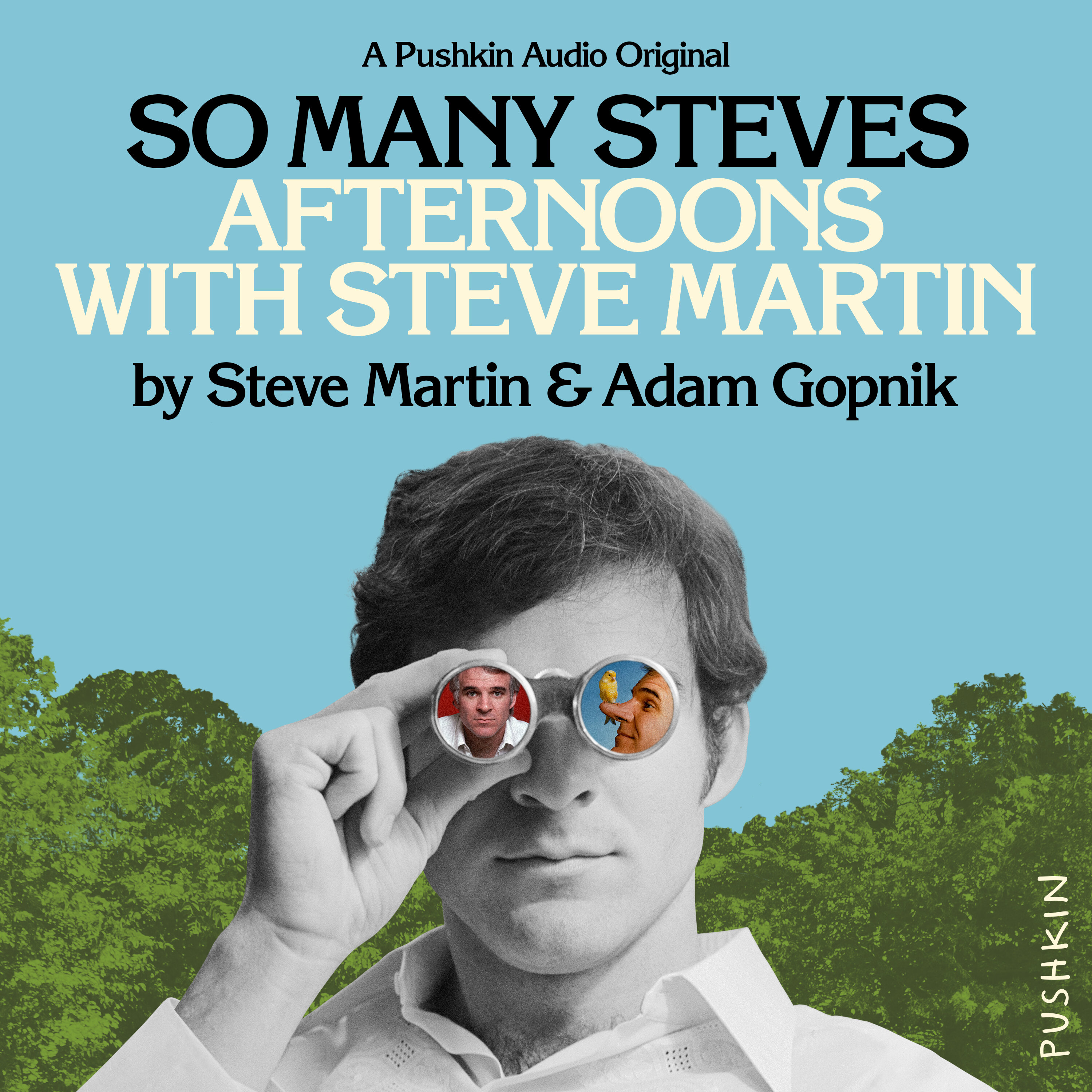 Introducing So Many Steves: Afternoons with Steve Martin - podcast episode cover