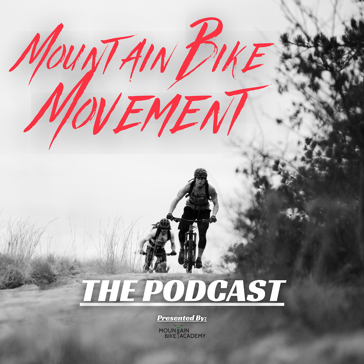 Welcome to Mountain Bike Movement!