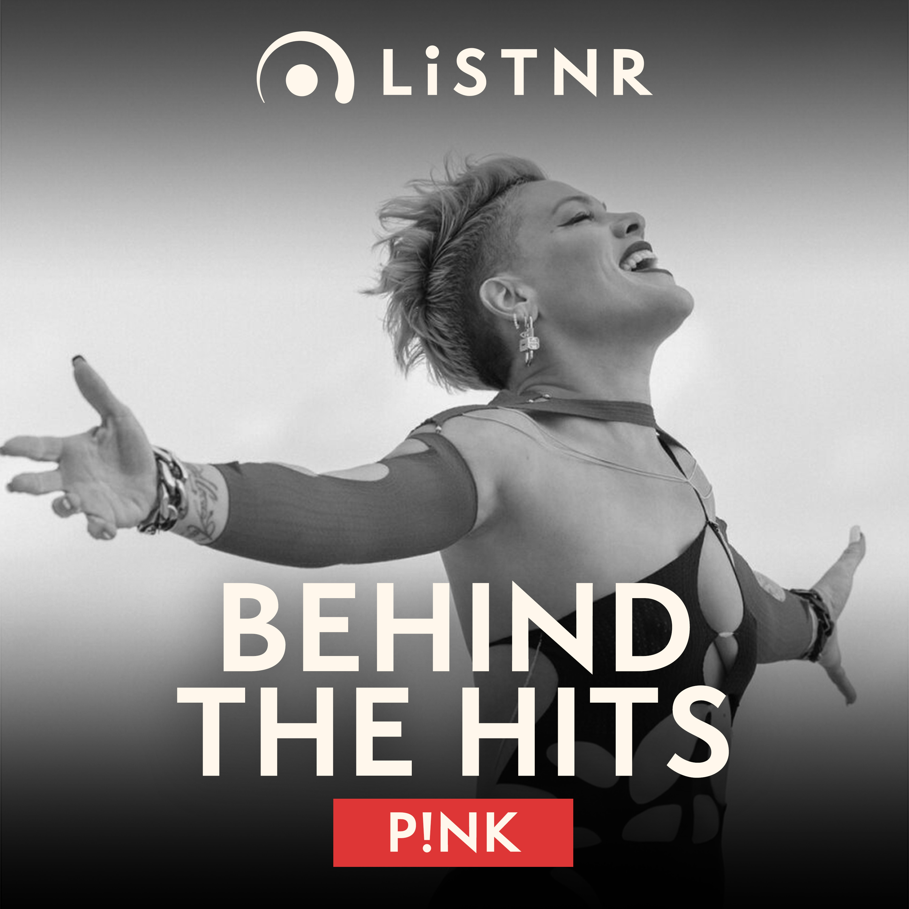 Behind The Hits - Pink