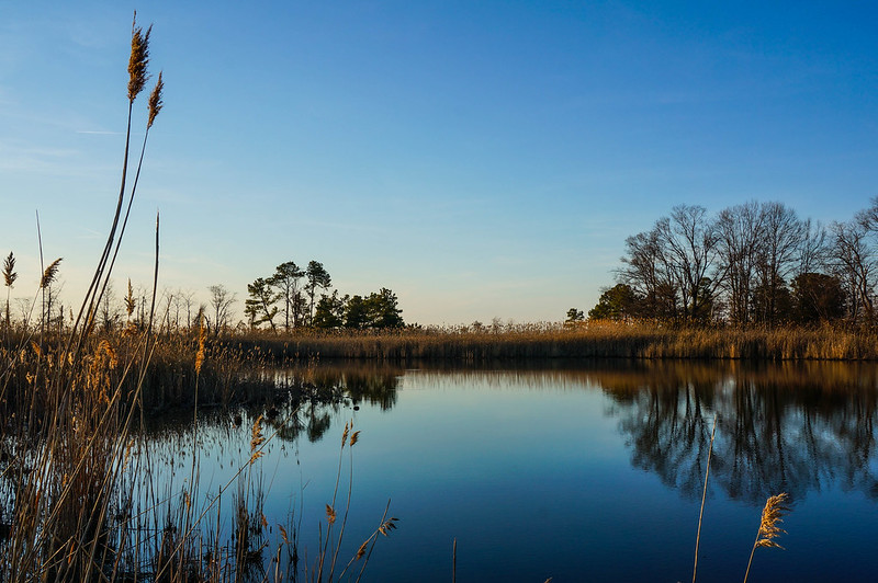 Environmental proposals to watch in the Maryland General Assembly