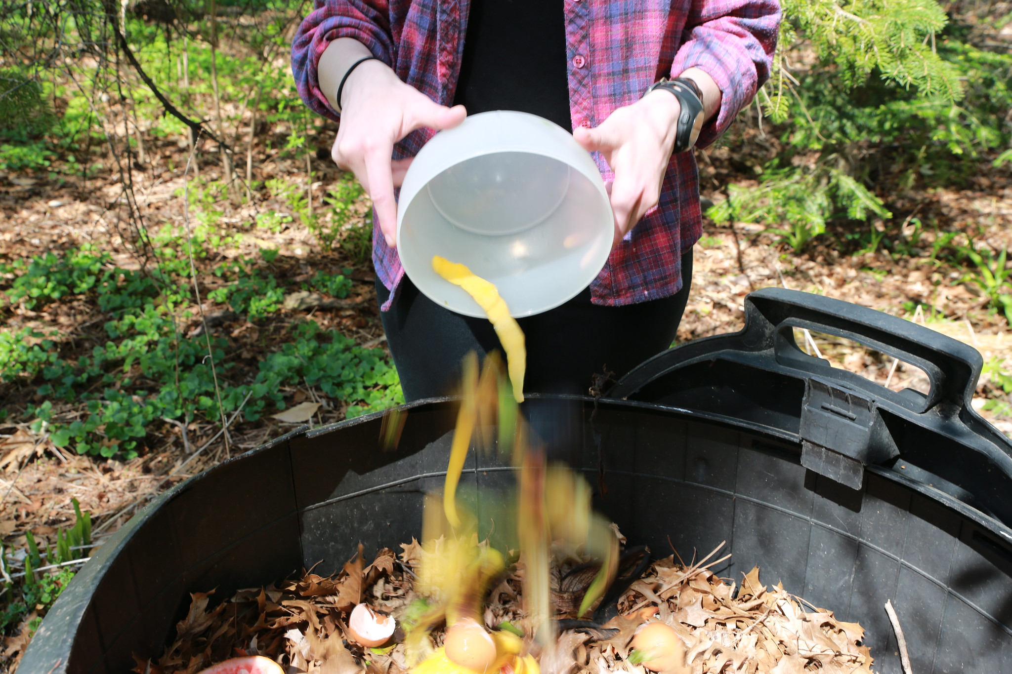 Baltimore City pilot program turns food scraps into compost