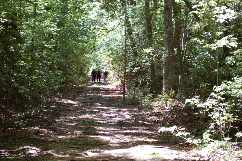 Baltimore Queer Hike finds joy in nature and community