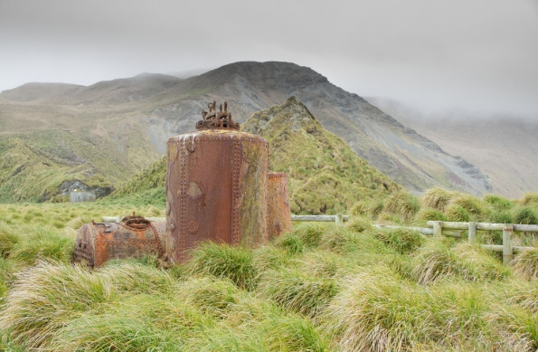 207 - The Animal Horror of Macquarie Island (Live w/Wil Anderson)